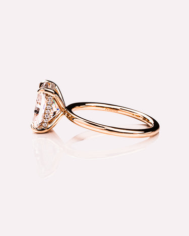 Ready to Ship - Harley - Radiant