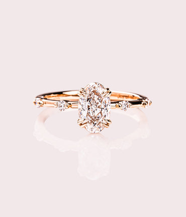 Daphne - Oval