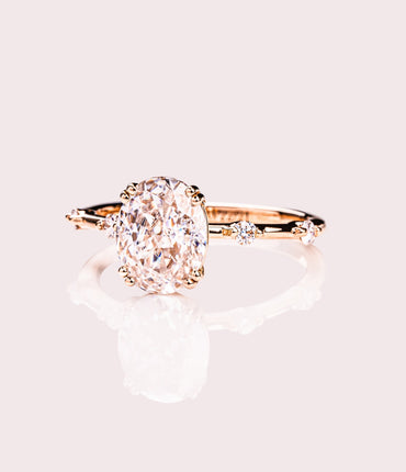 Daphne - Oval