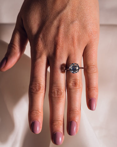 Harley - Round (Grey) - Zen Moissanite