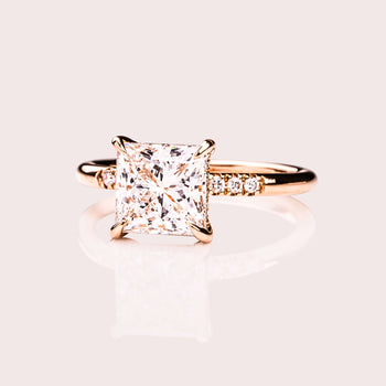 Michelle - Princess Lab-Diamond